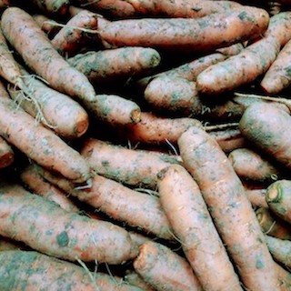 Rüebli ungerüstet (1 kg)