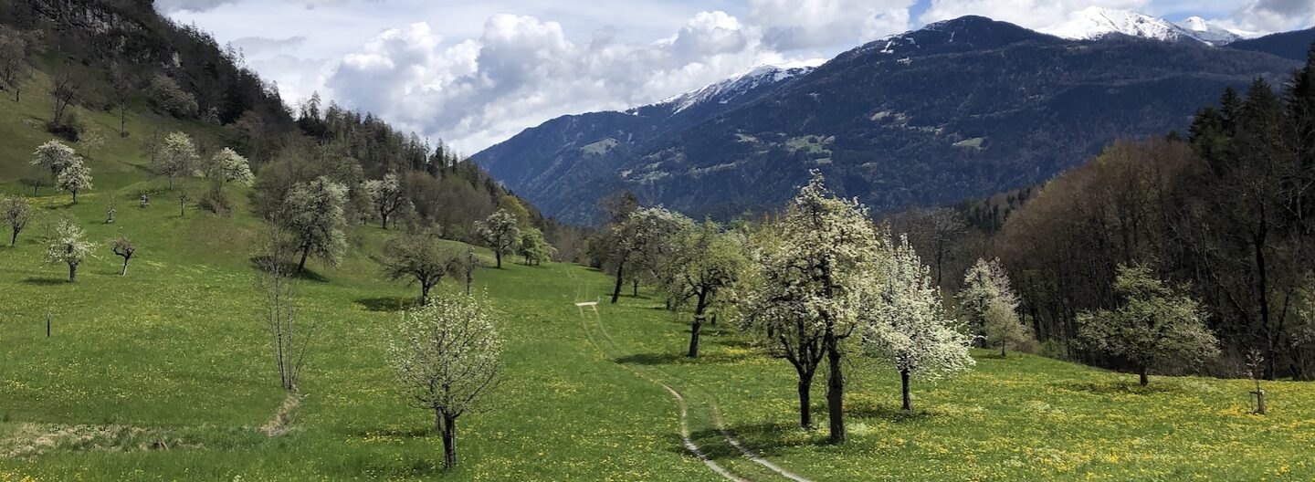 surselva naturalmein